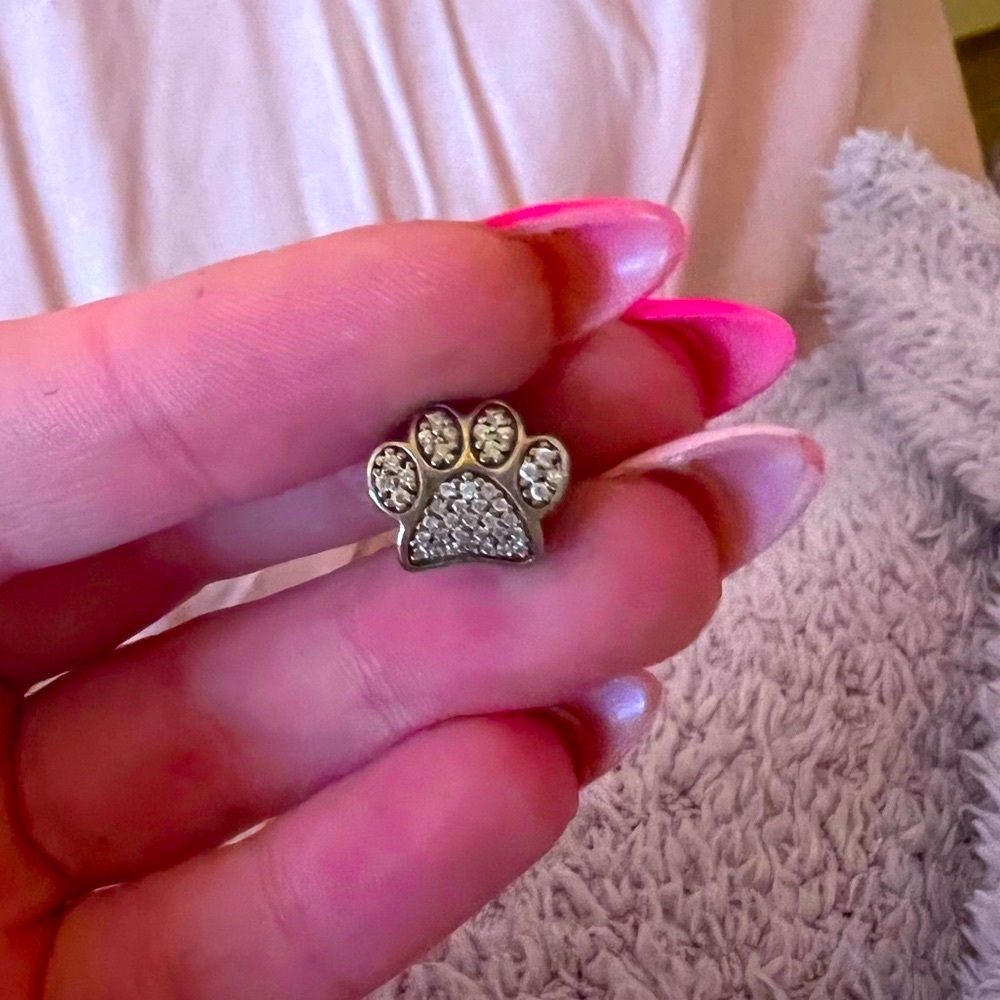 Pandora Charm